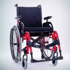 carrozzine per disabili torino